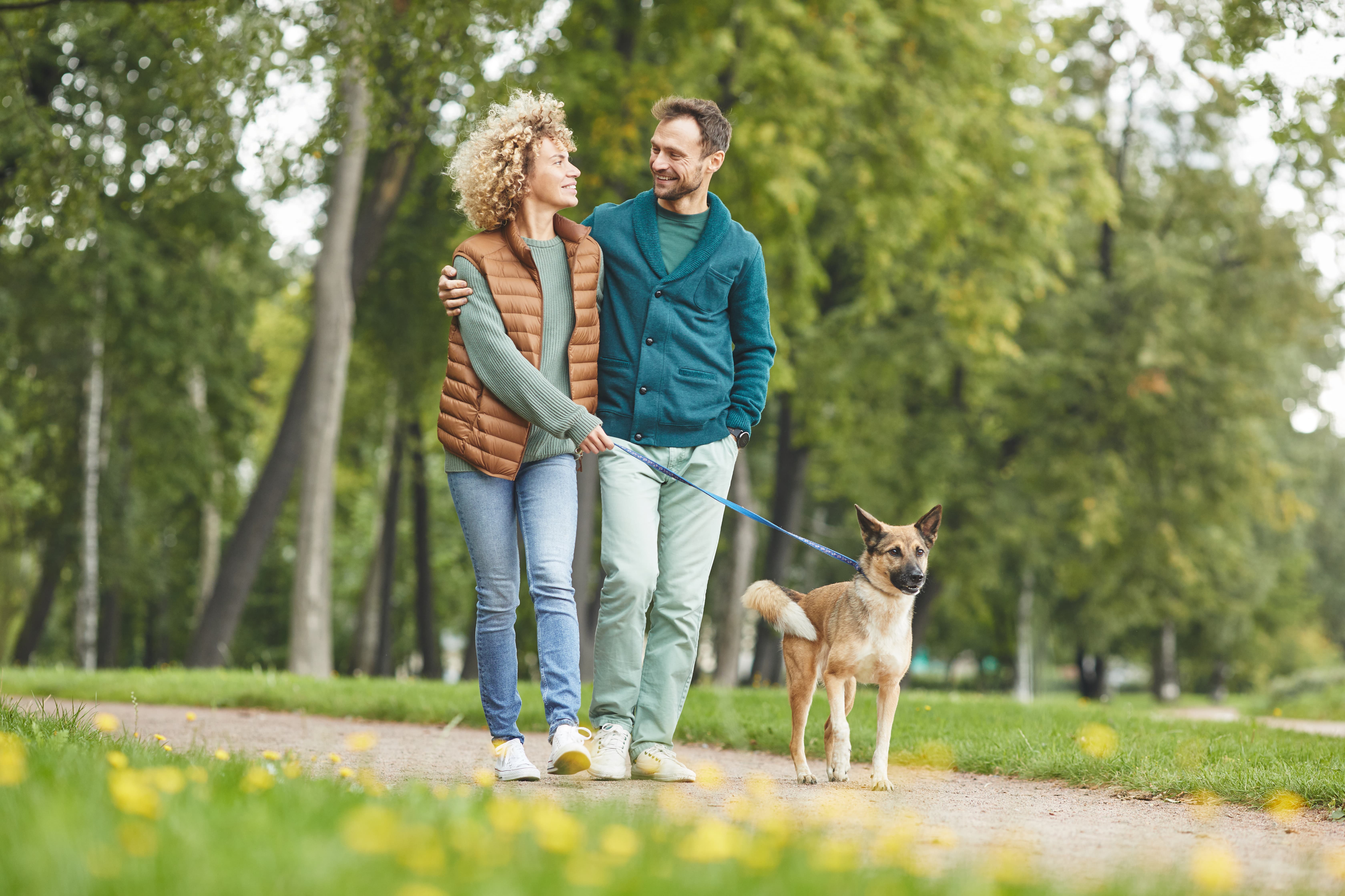 Pasear con tu mascota