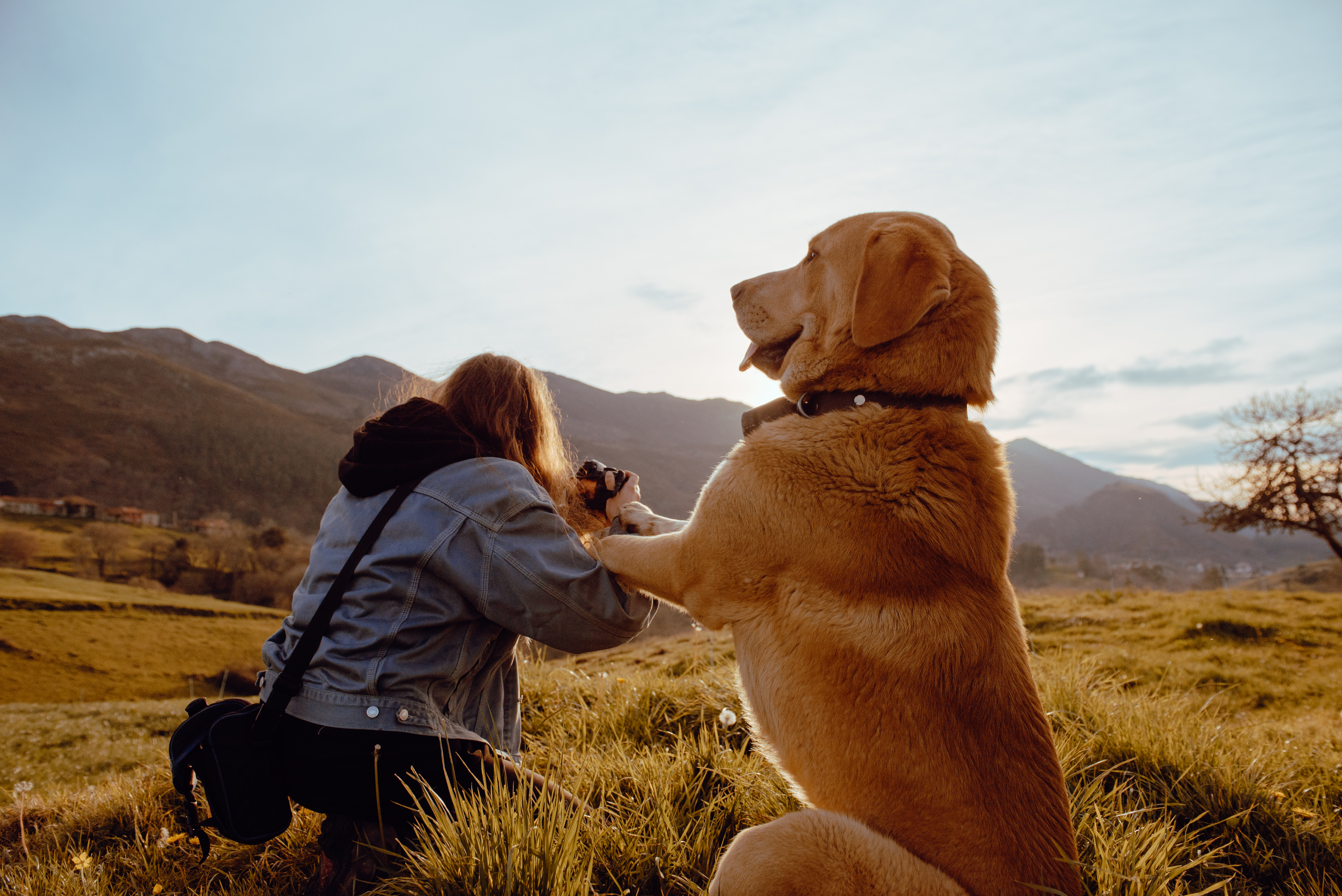 Visitando sitios nuevos llendo con mascota