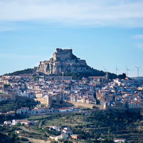 Morella